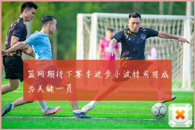 篮网期待下赛季进步小波特或将成为关键一员