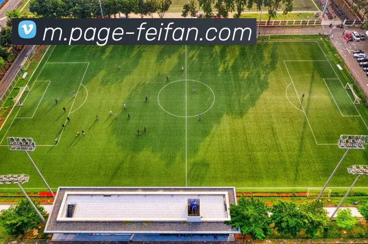 非凡娱乐平台生态图